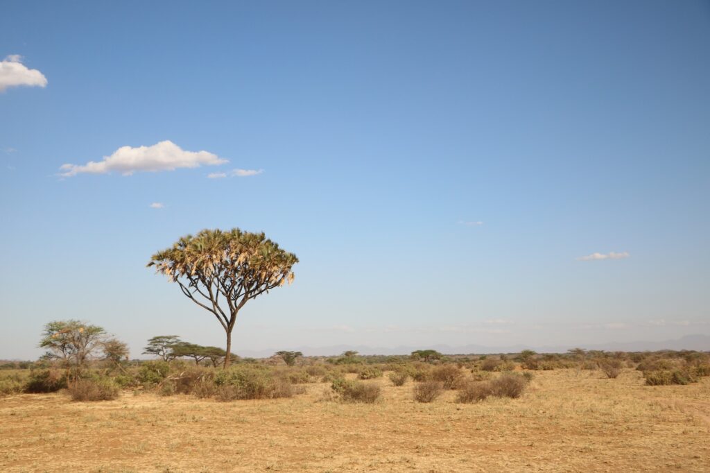 Biodiversity