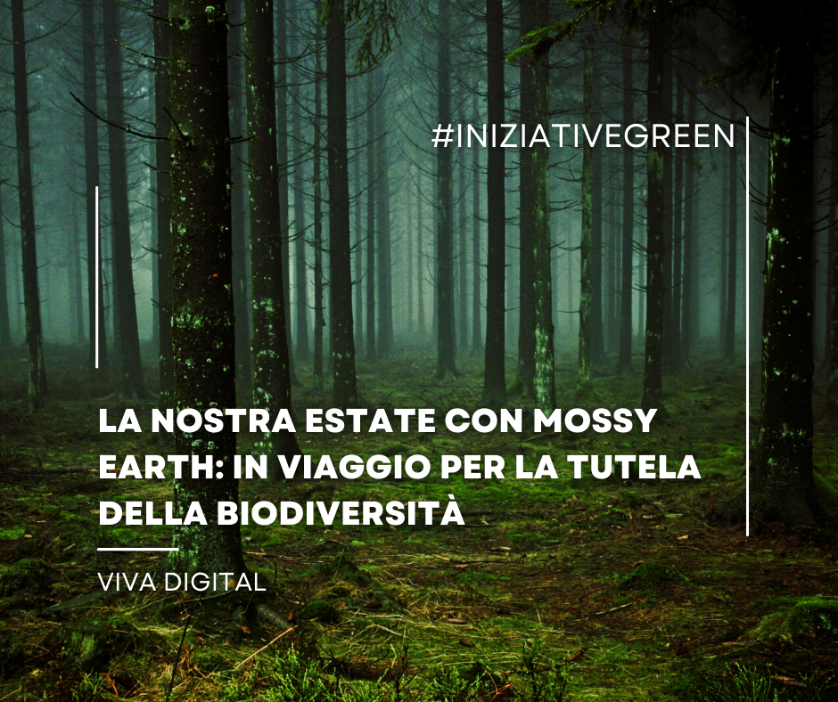 Copertine INIZIATIVE GREEN