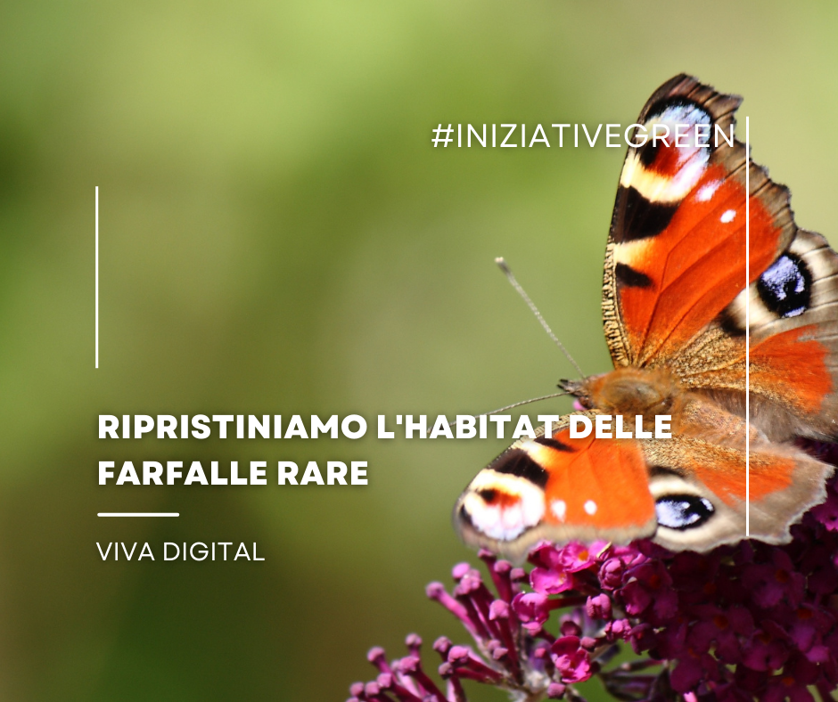 Copertine INIZIATIVE GREEN