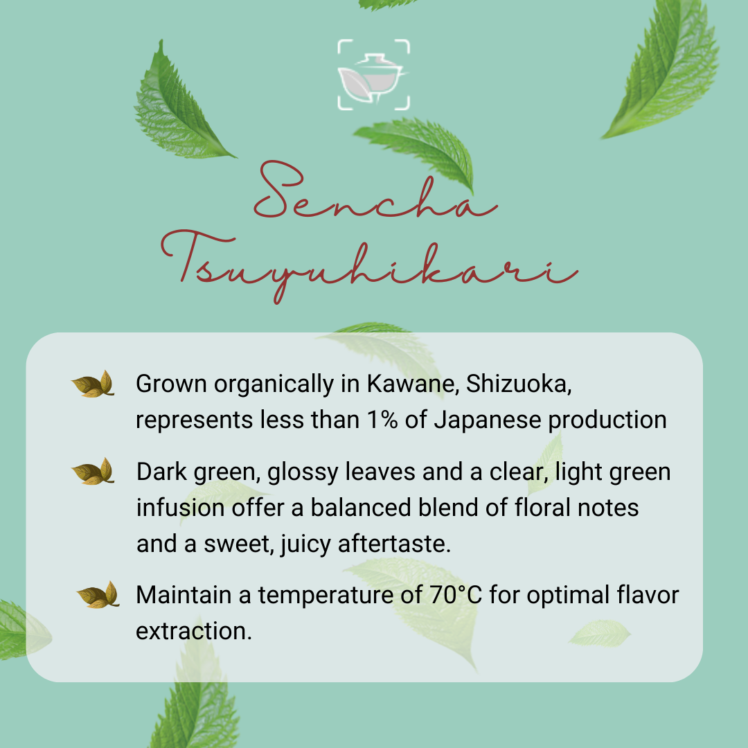 Piano Social Teascanner - GiugnoLuglio (1)